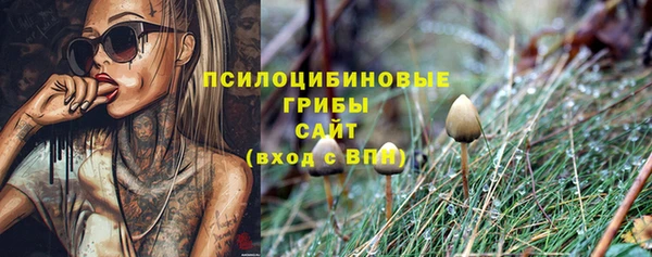 гидра Михайлов