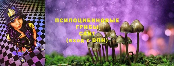тгк Михайловск